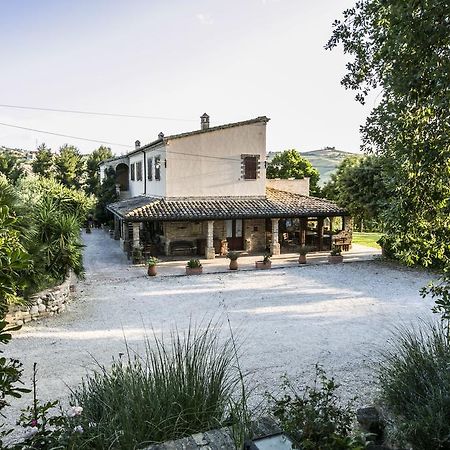 Agriturismo Col Morino Bed & Breakfast Pineto Exterior foto